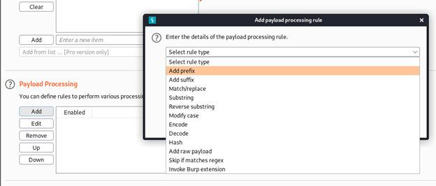 Intruder Payload Processing