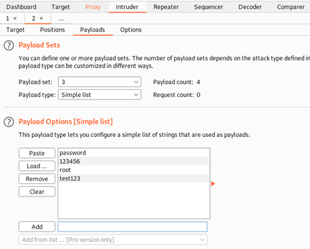 Burp Suite Intruder Payloads 3